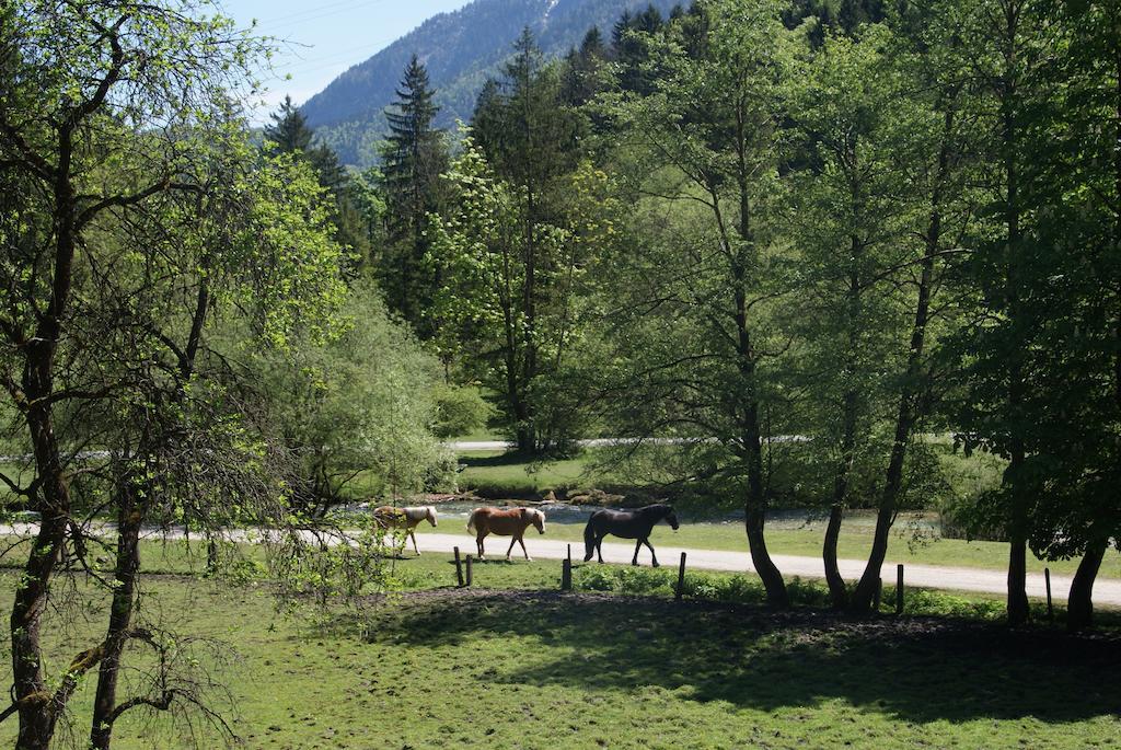 Ferienwohnung Bluntaumühle Golling an der Salzach Habitación foto