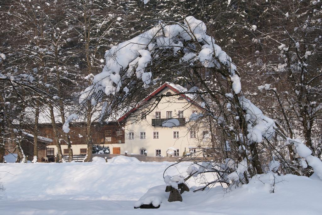 Ferienwohnung Bluntaumühle Golling an der Salzach Habitación foto